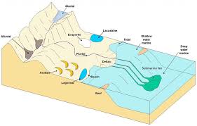 Sandstone Depositional Environments