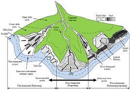 Marine sandstone environment