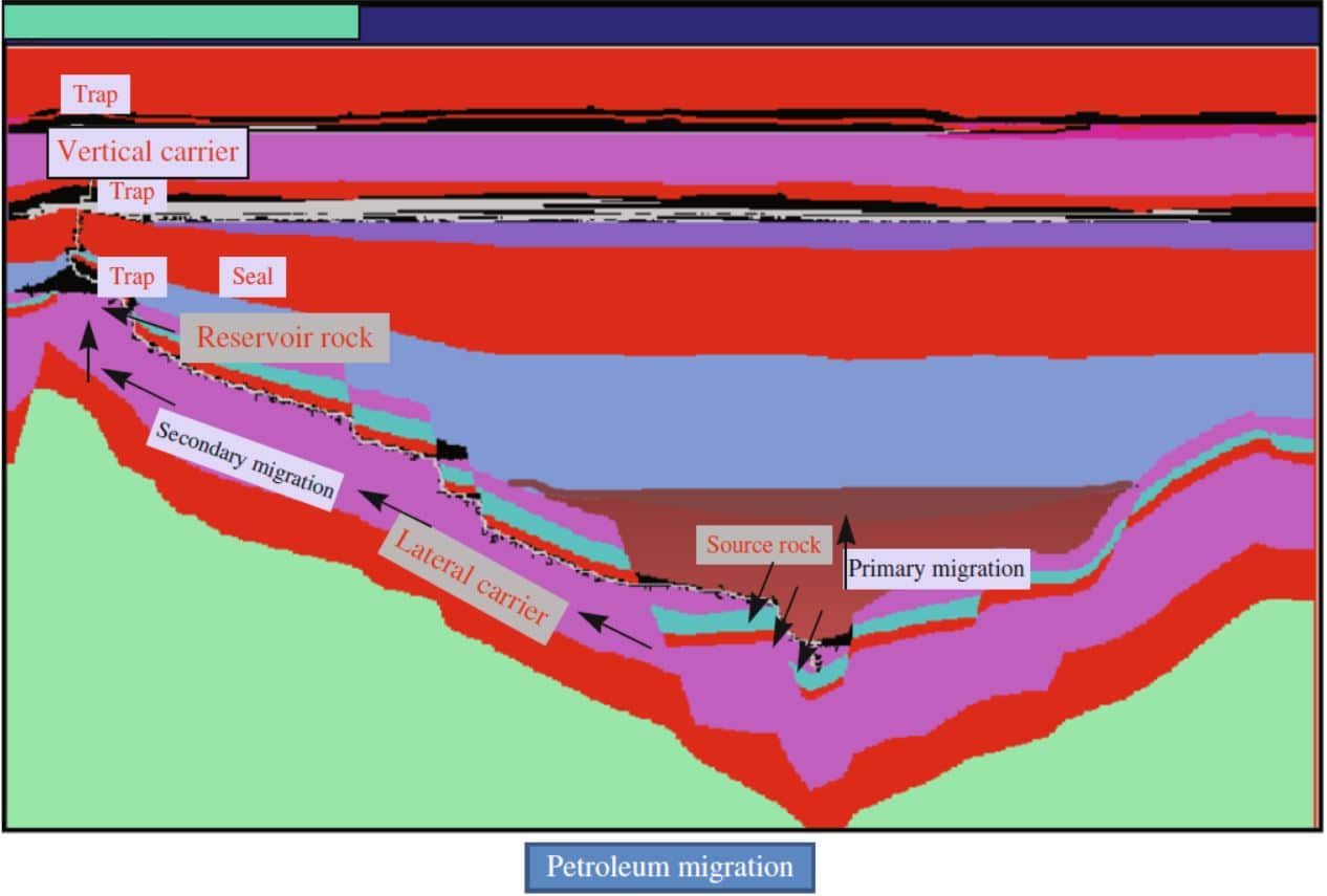 Petroleum migration