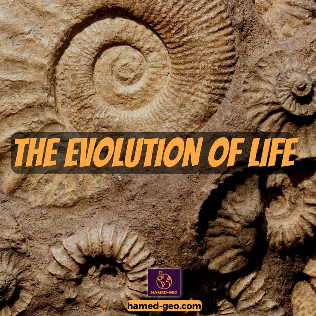 The Evolution of Life