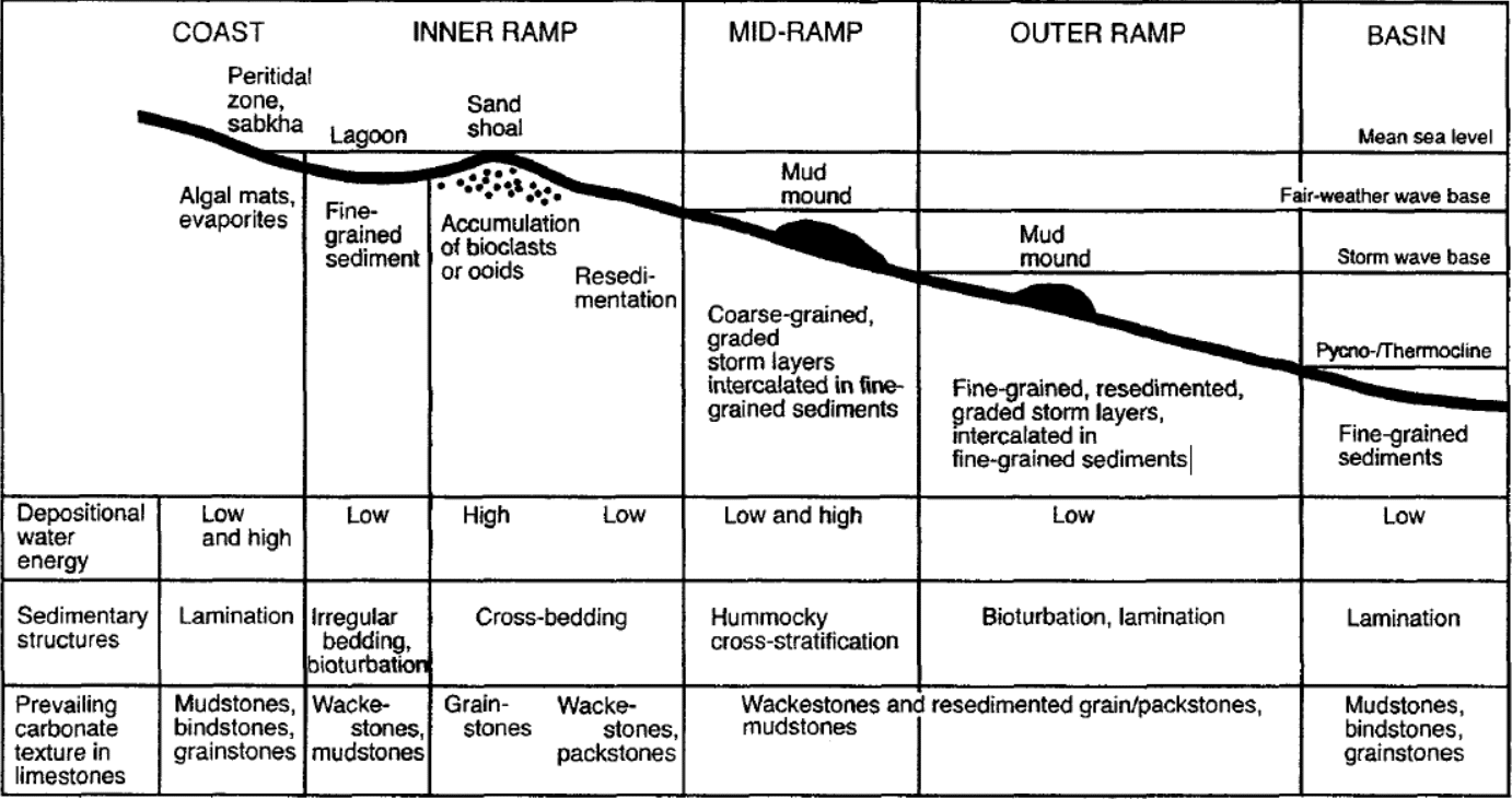 Limestone Depositional Environment