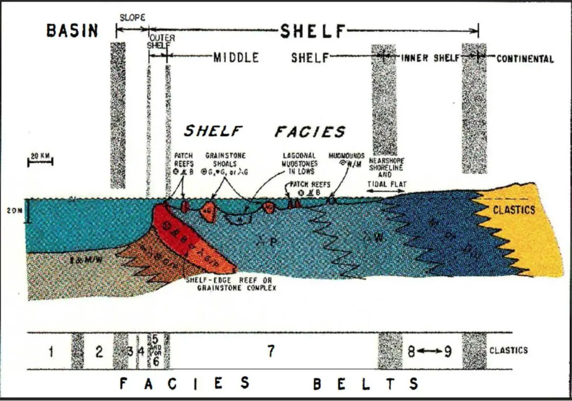 Profile of shelf facies